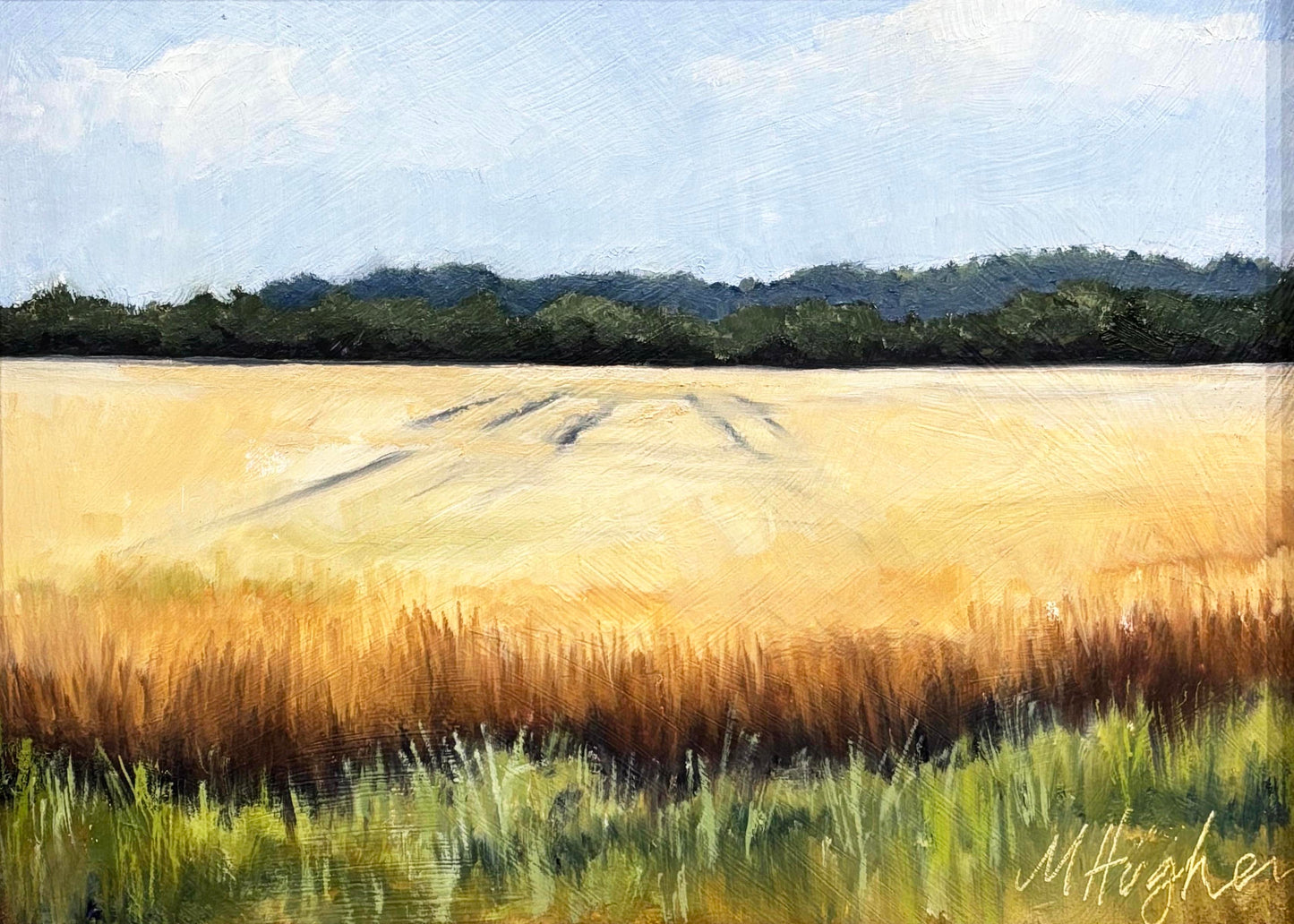 Roadside Mississippi - A Golden Day, Lee County, Mississippi