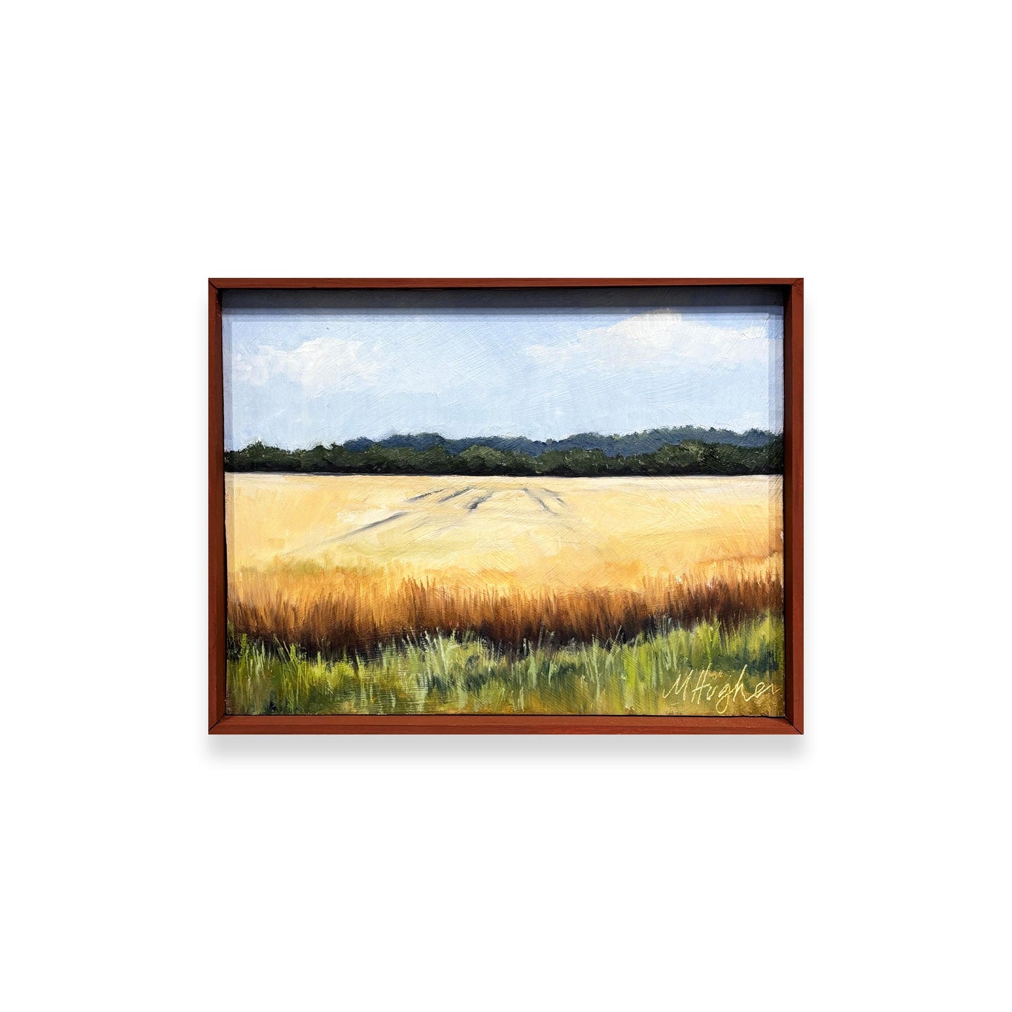 Roadside Mississippi - A Golden Day, Lee County, Mississippi