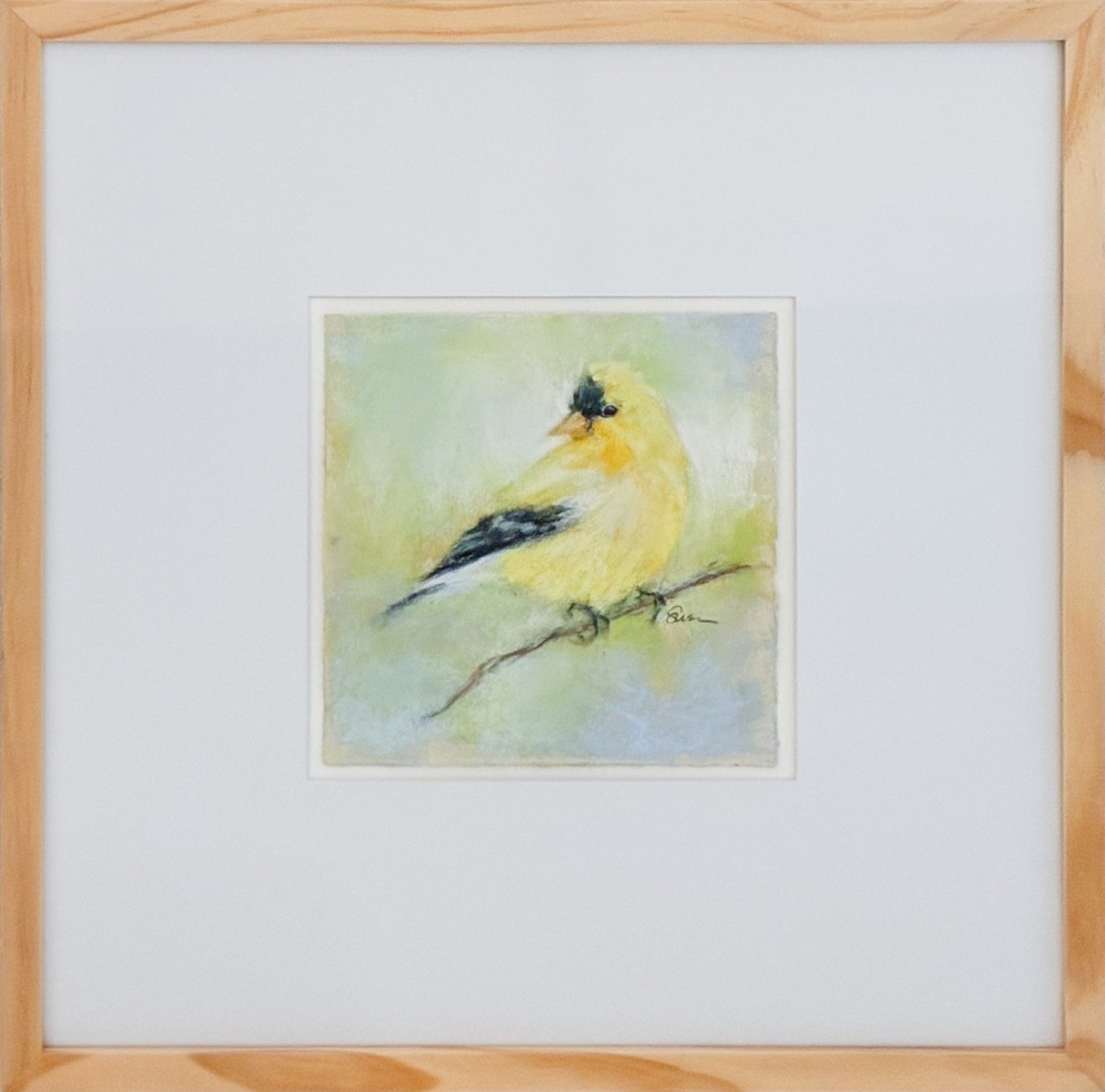 American Goldfinch