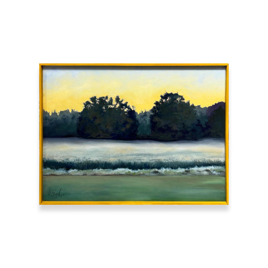 Roadside Mississippi - Backyard at Dawn, Lee County, Mississippi