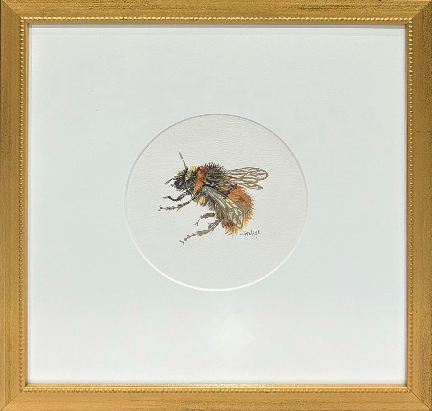 Bee IV