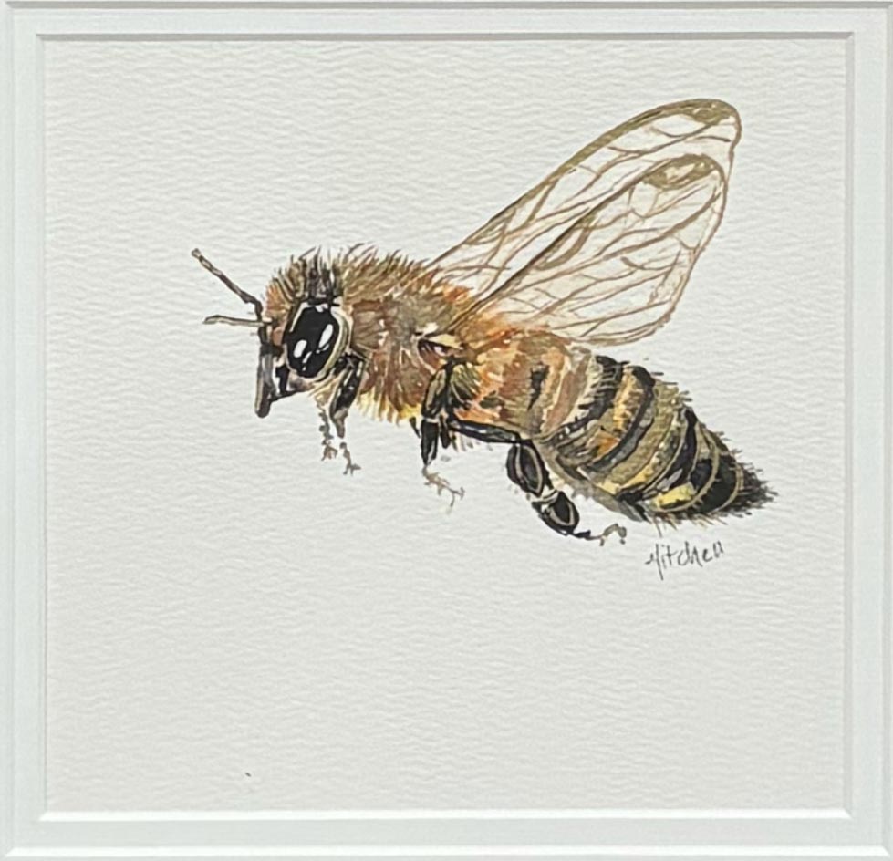 Bee II