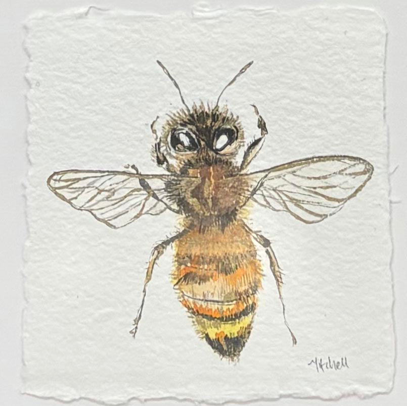 Bee III