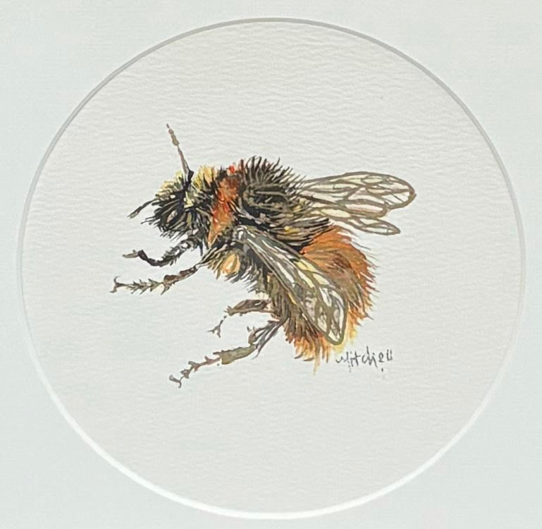 Bee IV
