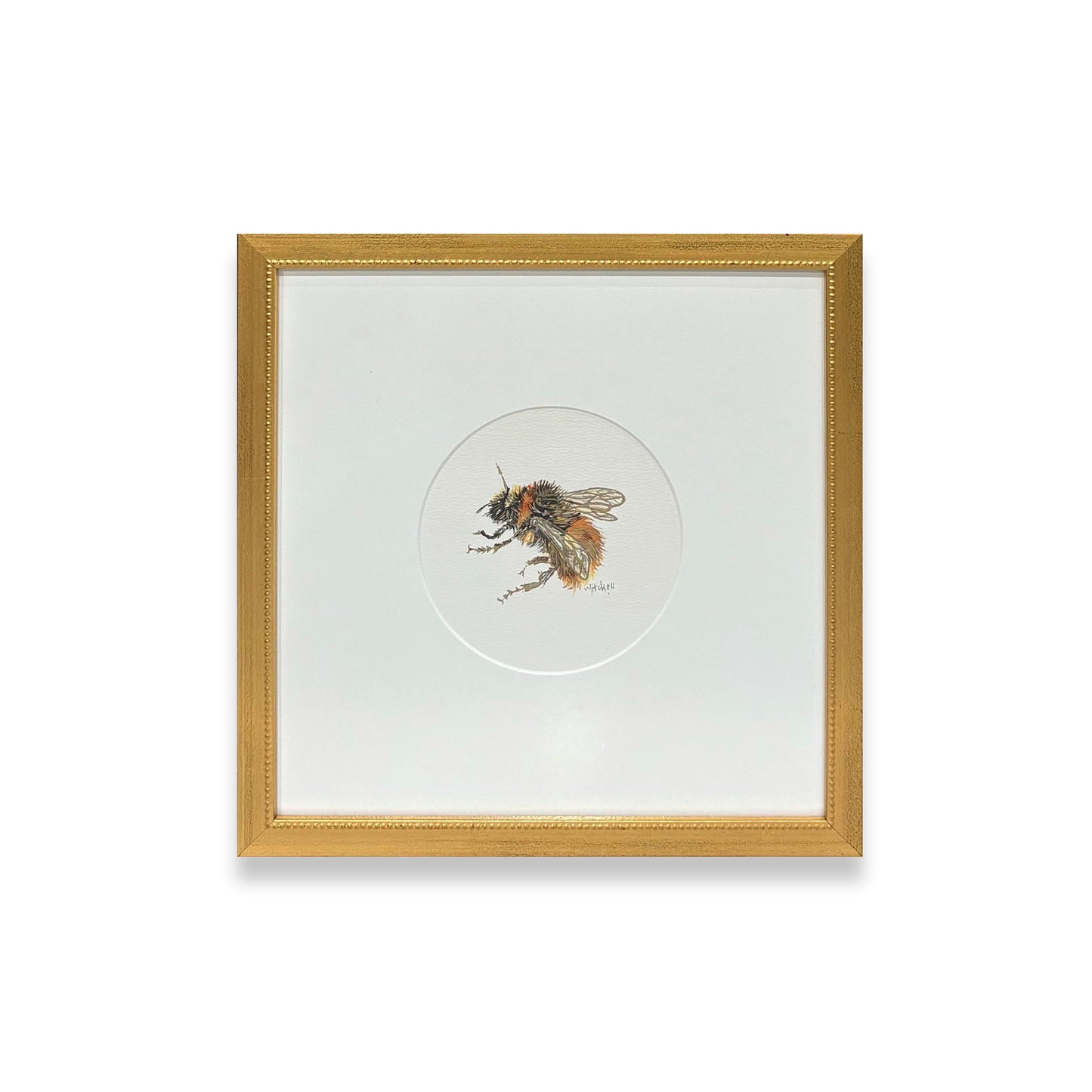 Bee IV