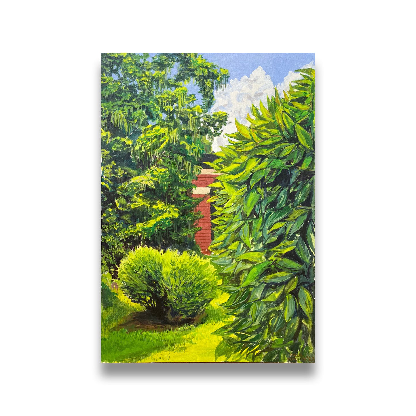 Belhaven Vegetation