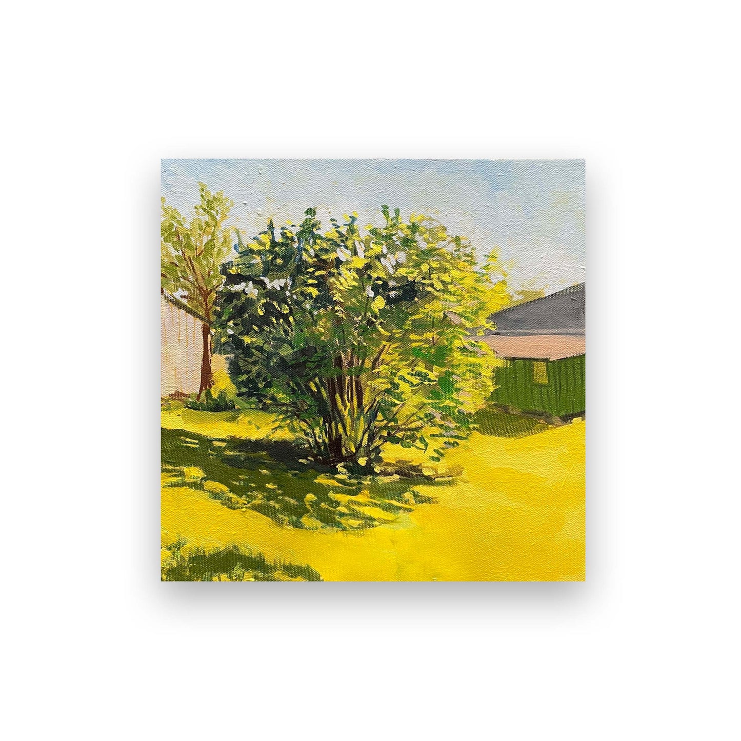 Big Fig