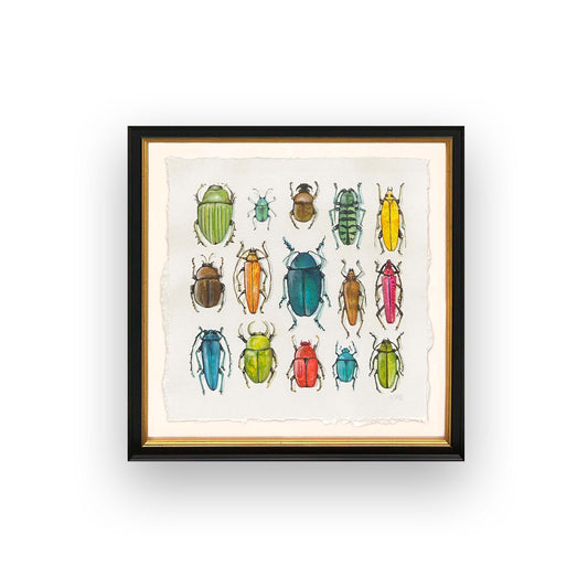 Watercolor Collection: Bunches Of Beetles