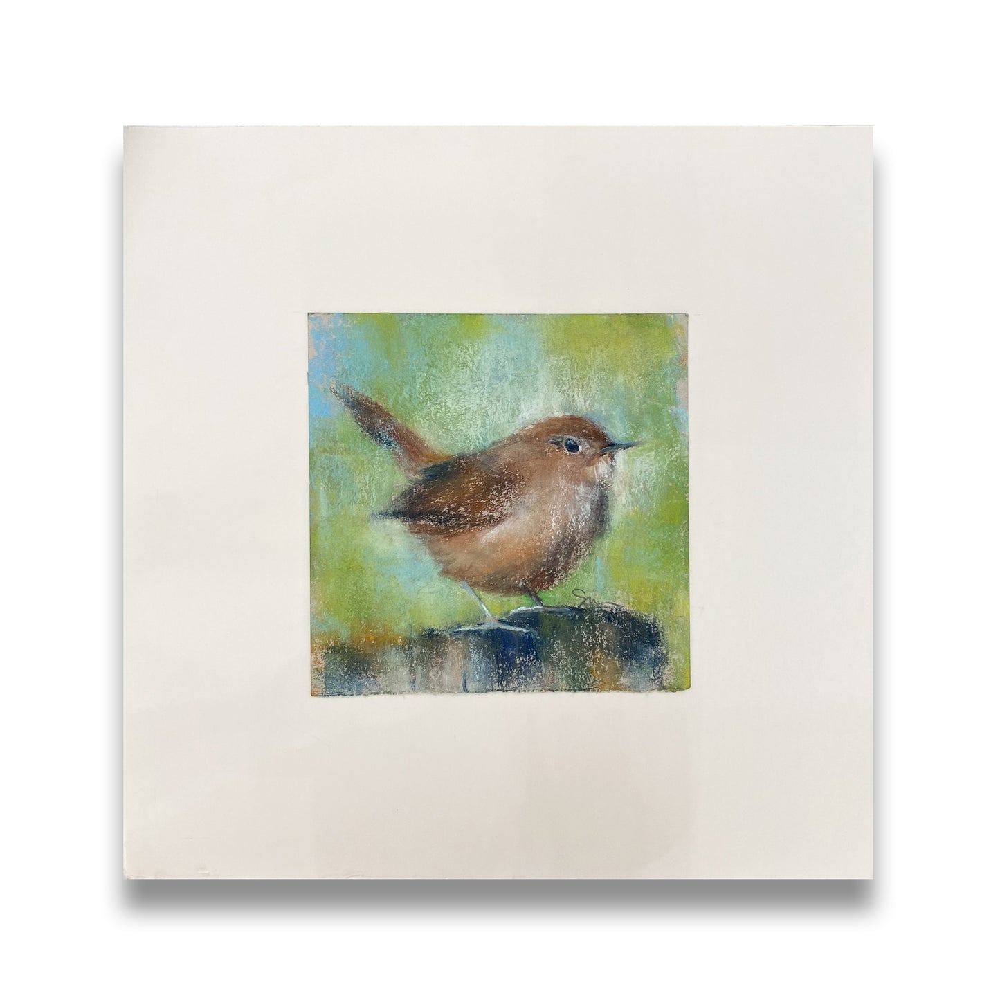 Carolina Wren II