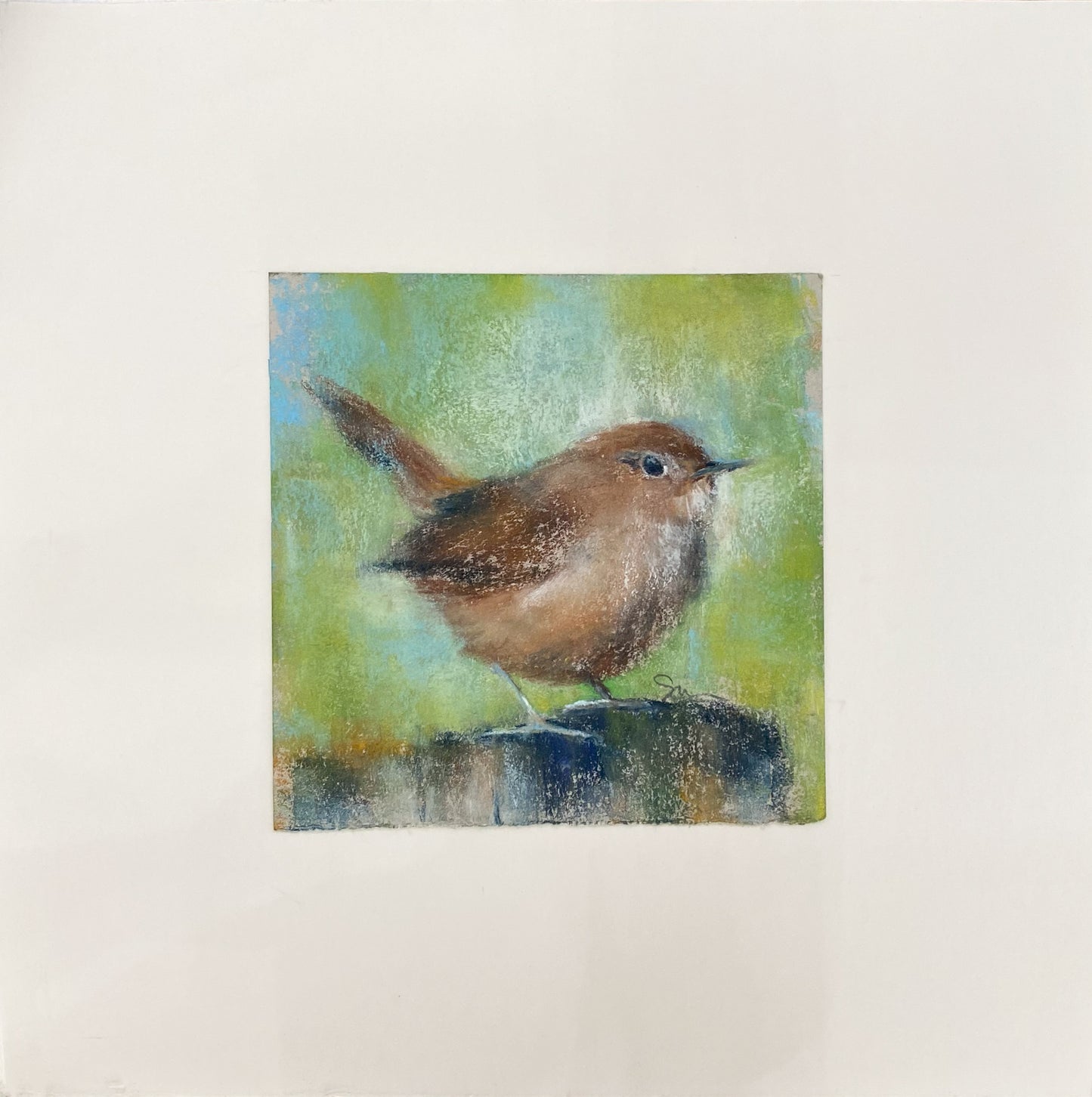 Carolina Wren II