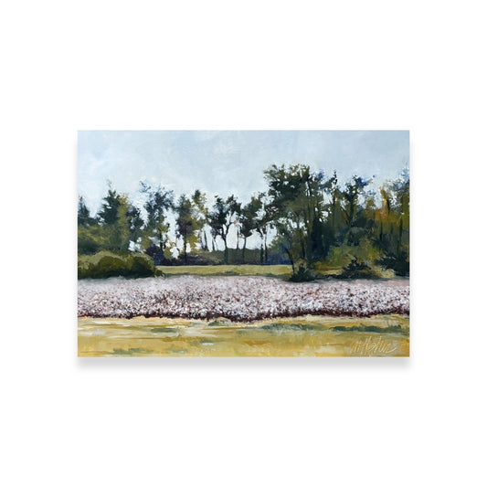 Roadside Mississippi - Cemetery Cotton, Greenville, Mississippi