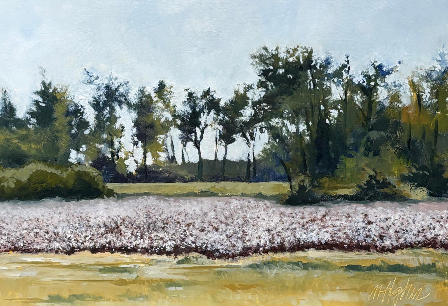 Roadside Mississippi - Cemetery Cotton, Greenville, Mississippi