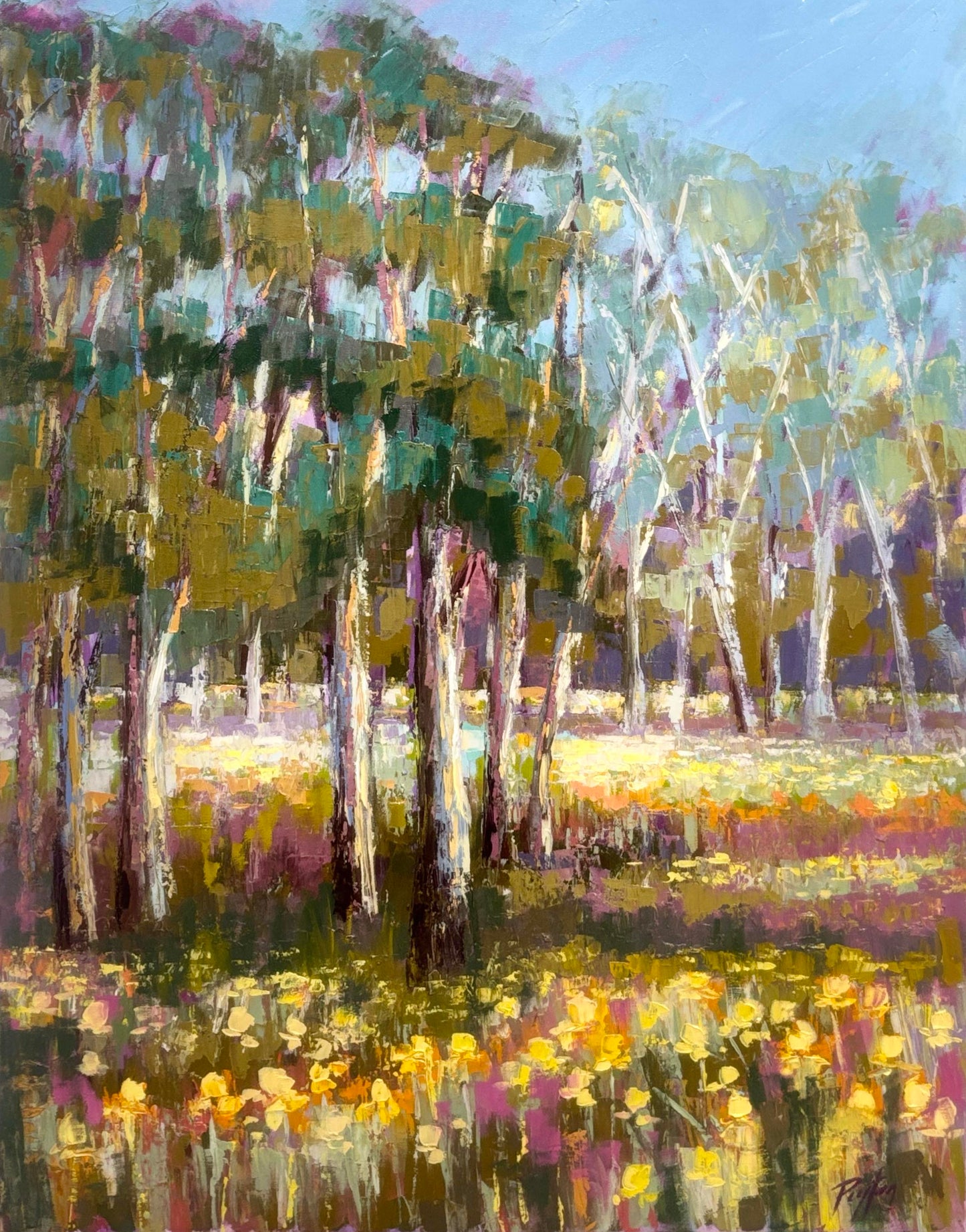 Daffodils in Bloom