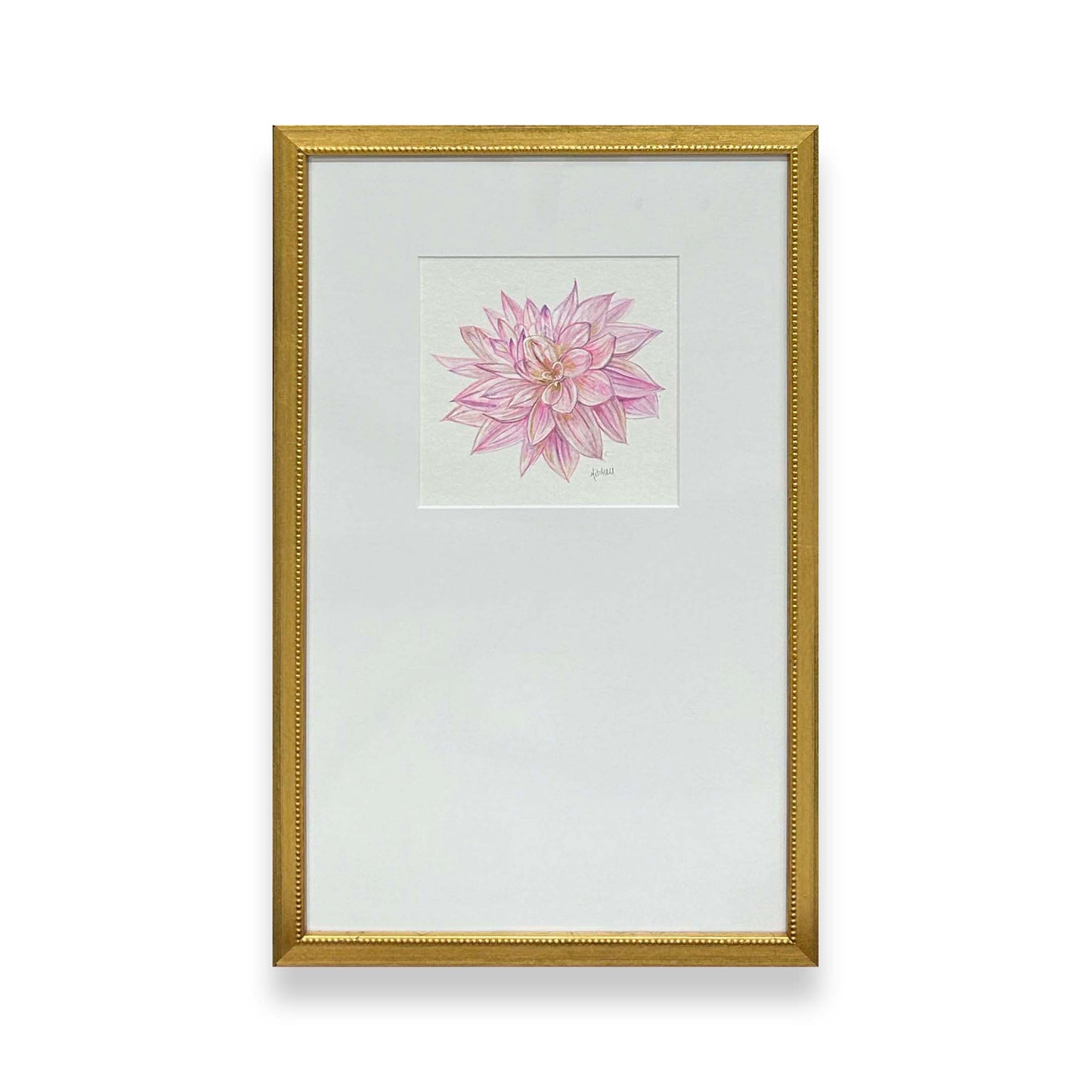 Summer Dahlia II