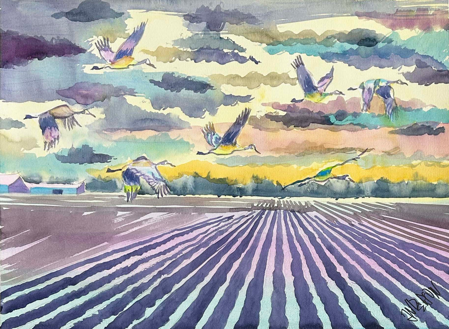 Delta Field