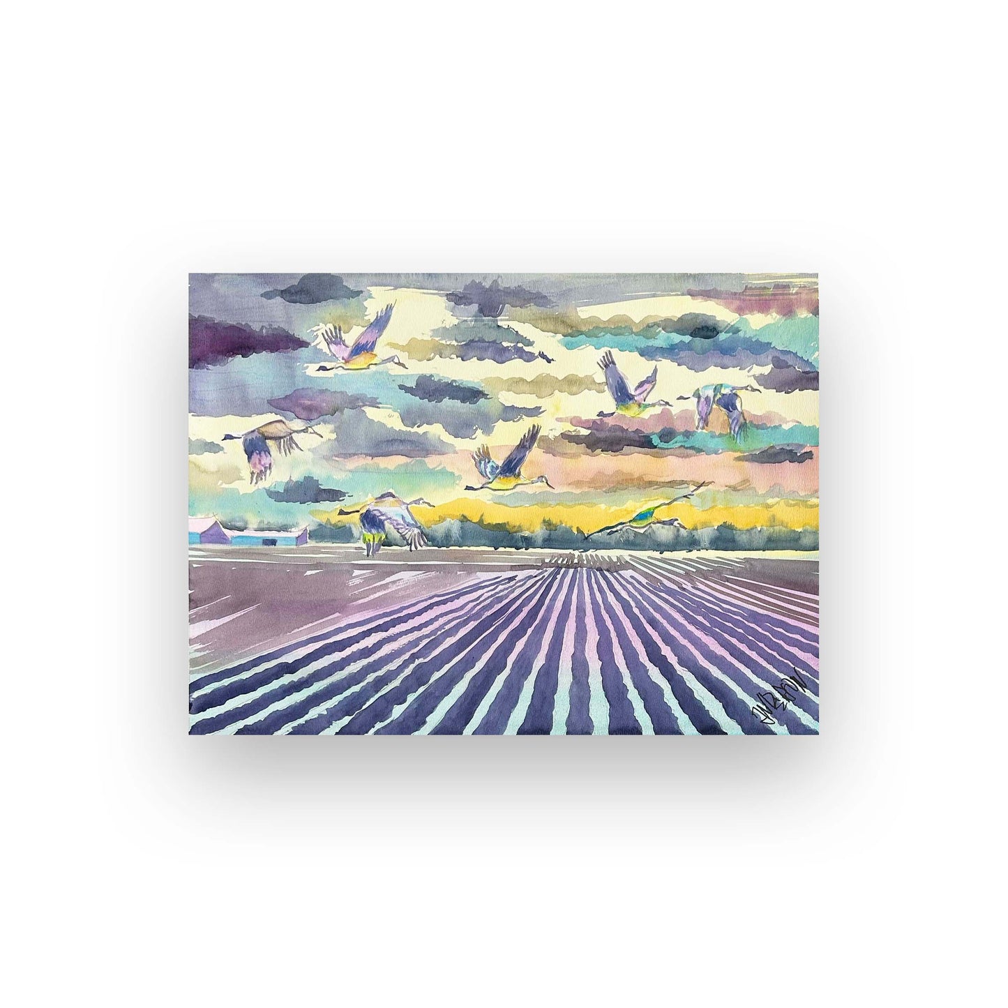 Delta Field