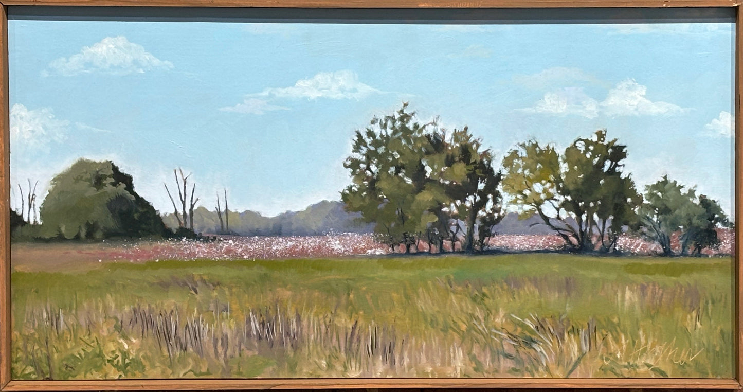 Distant Field of Cotton