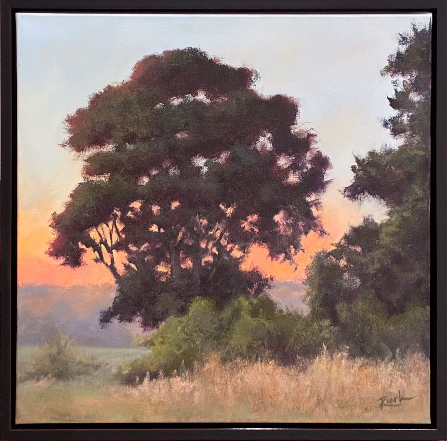 When The Sun Goes Down - Evening Oak