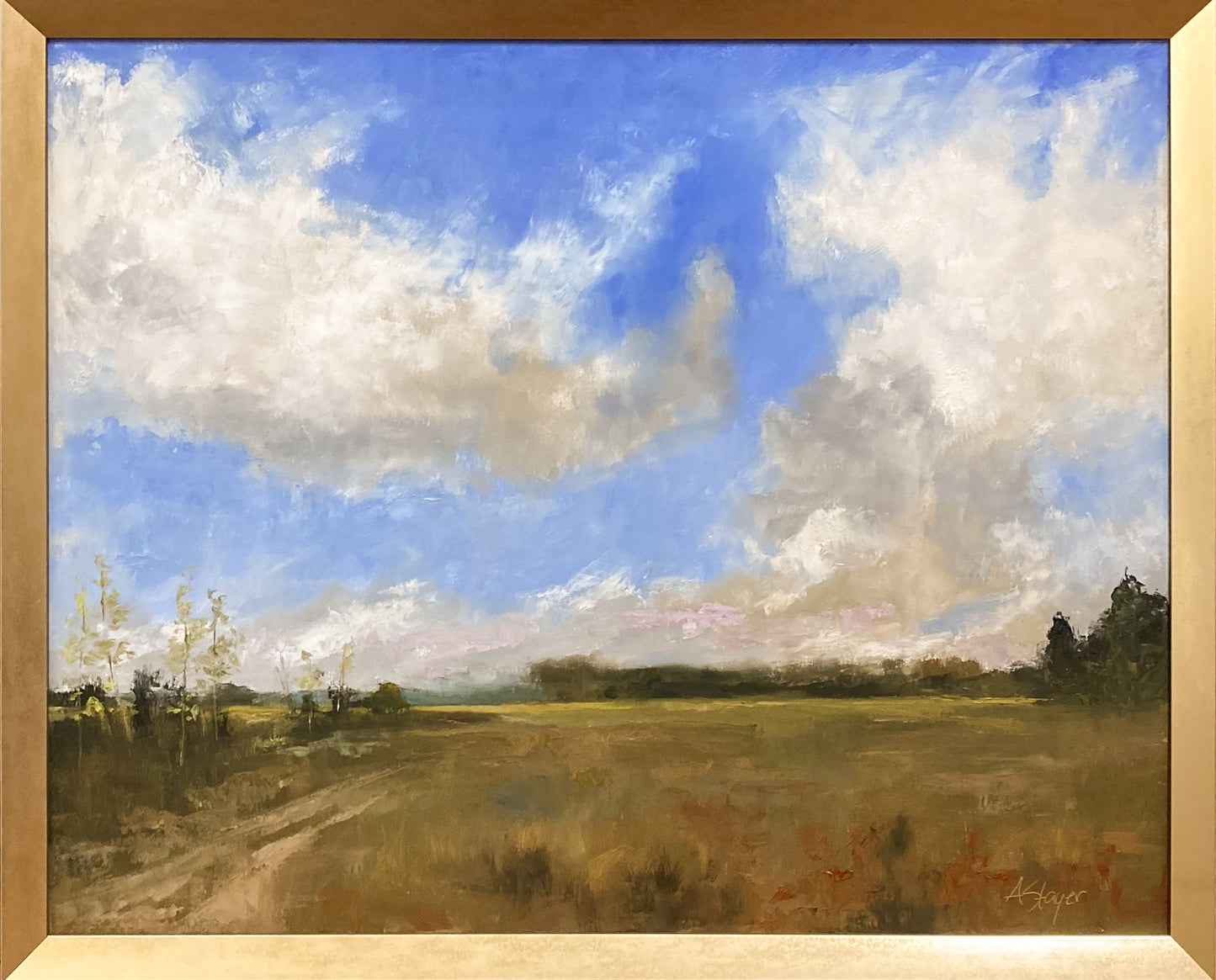 Expansive Skies
