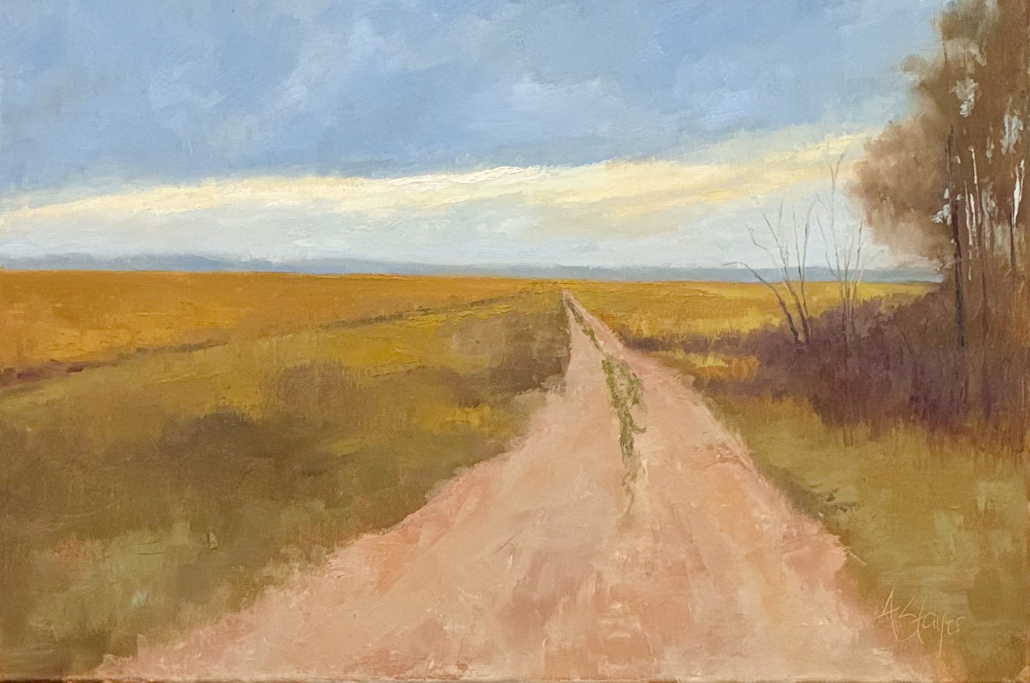 Tides, Fields, and Familiar Roads - Farm Road