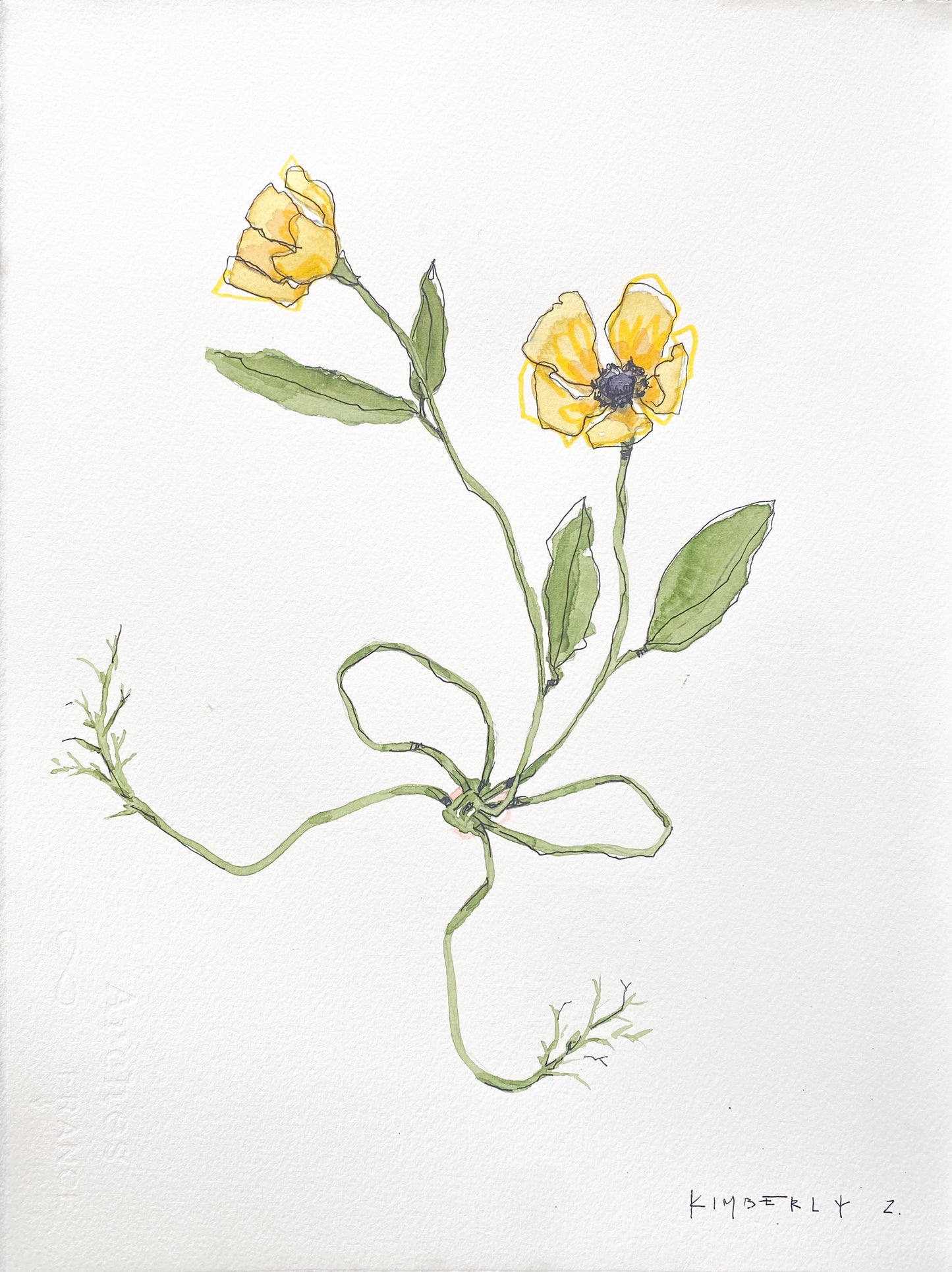 Flora Study No. II