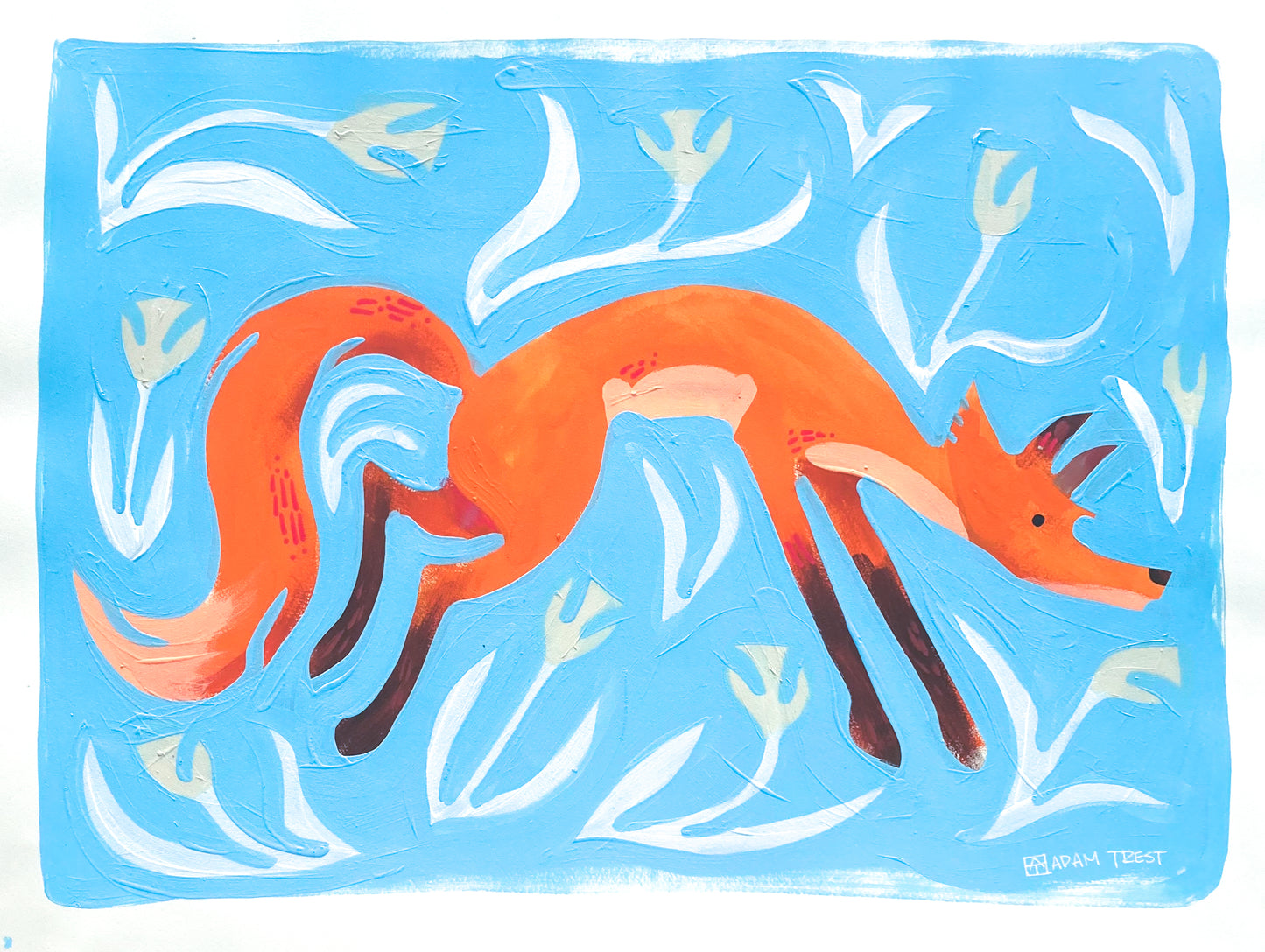 Fox with Blue