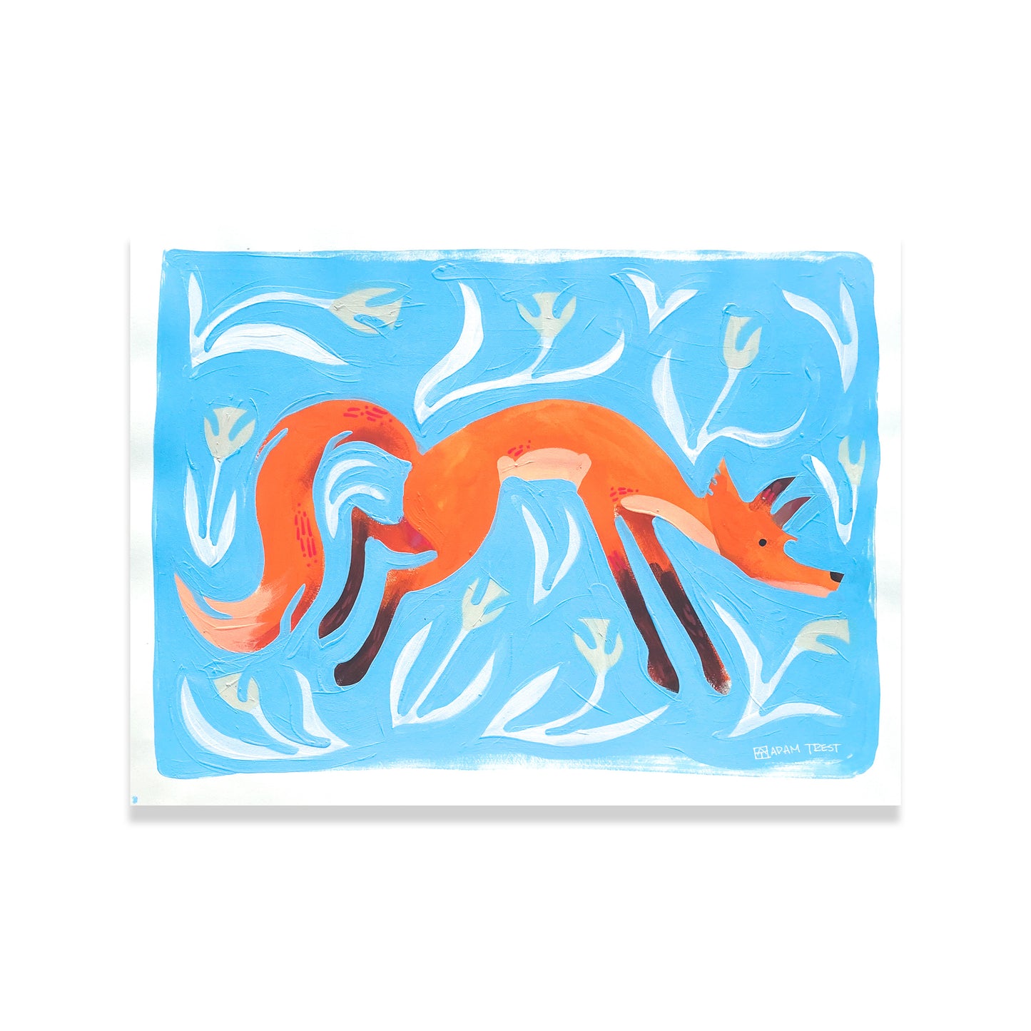Fox with Blue