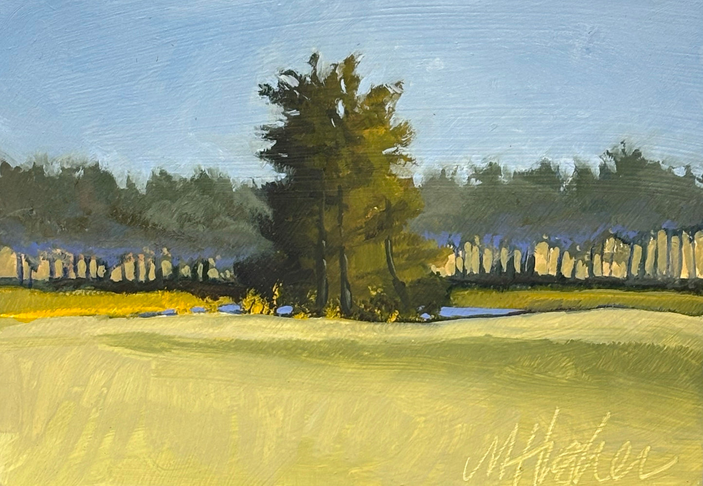 Golf Course Property