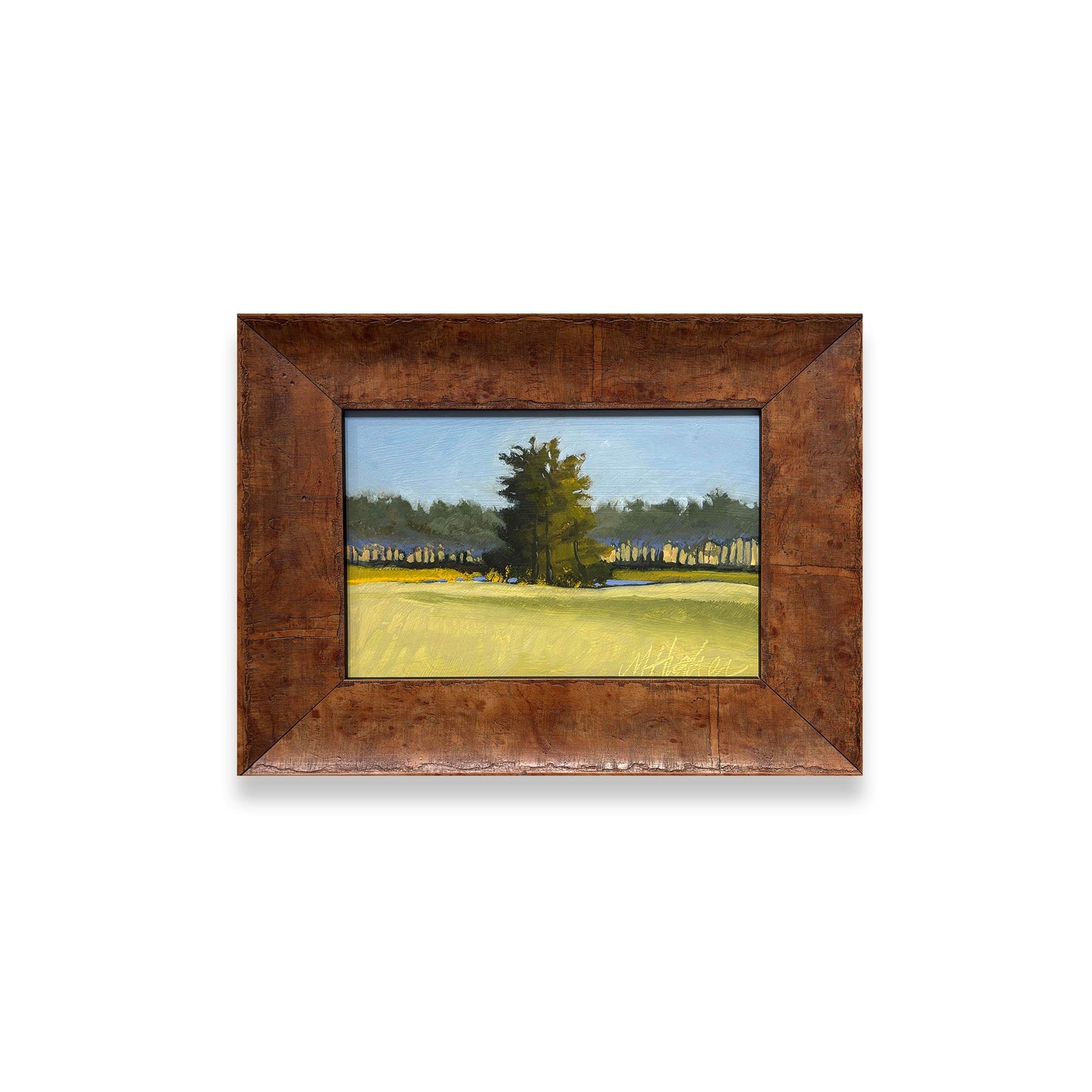 Golf Course Property