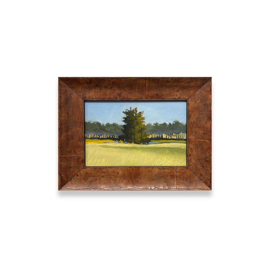 Golf Course Property