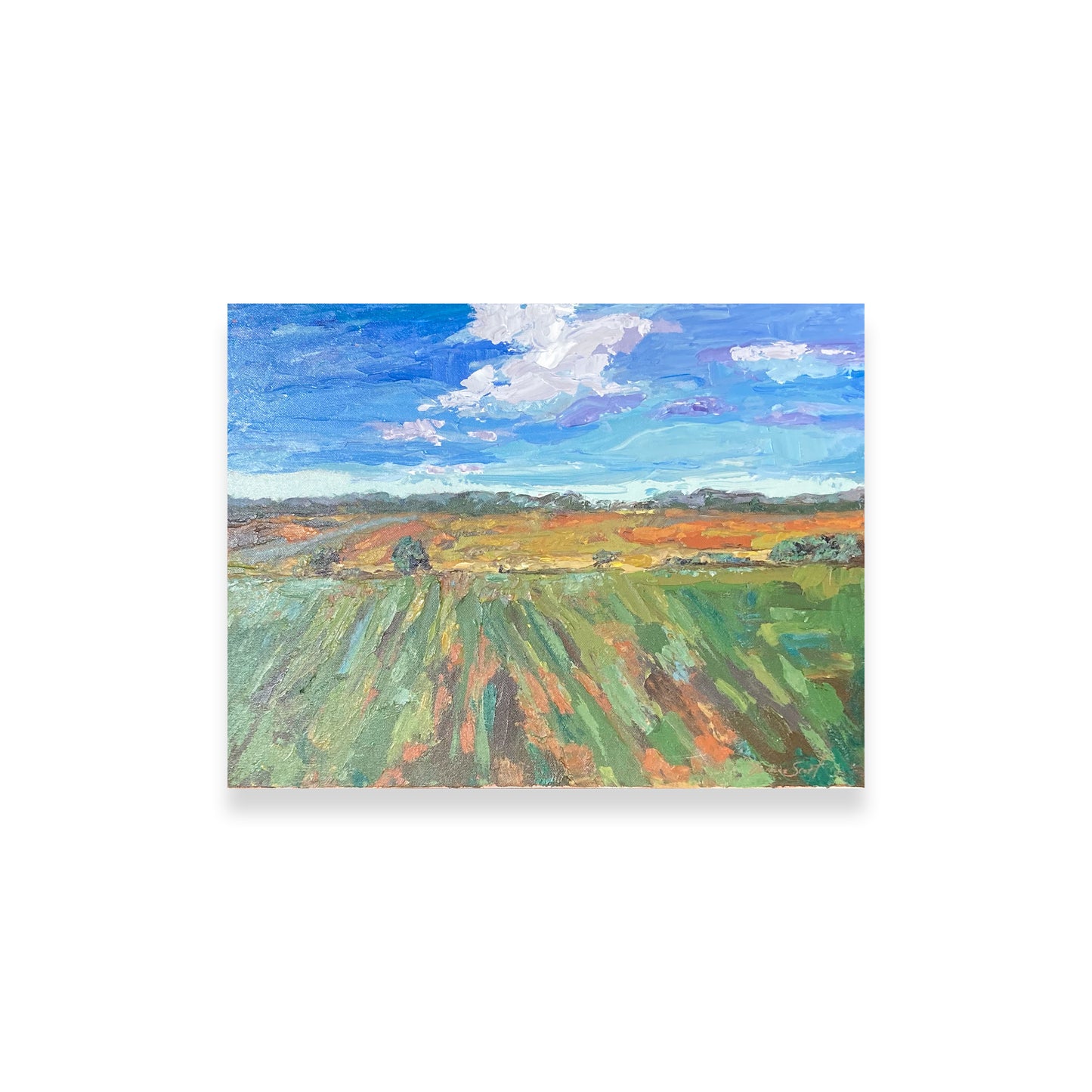 Green Fields