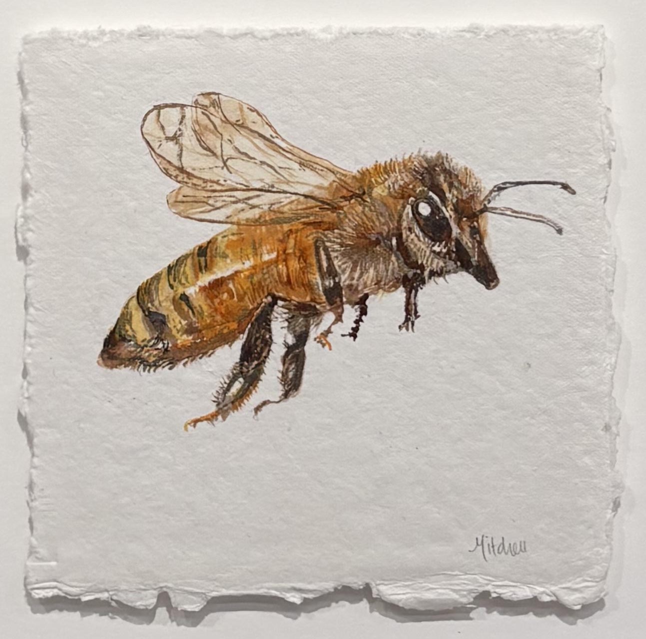 Honey