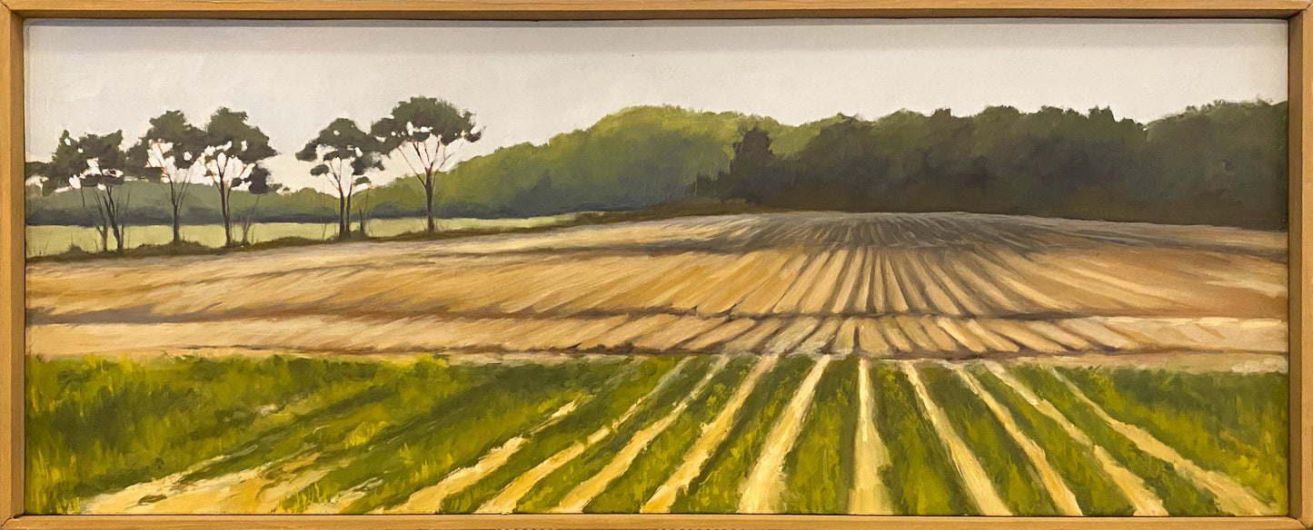 Oktibbeha County, Mississippi