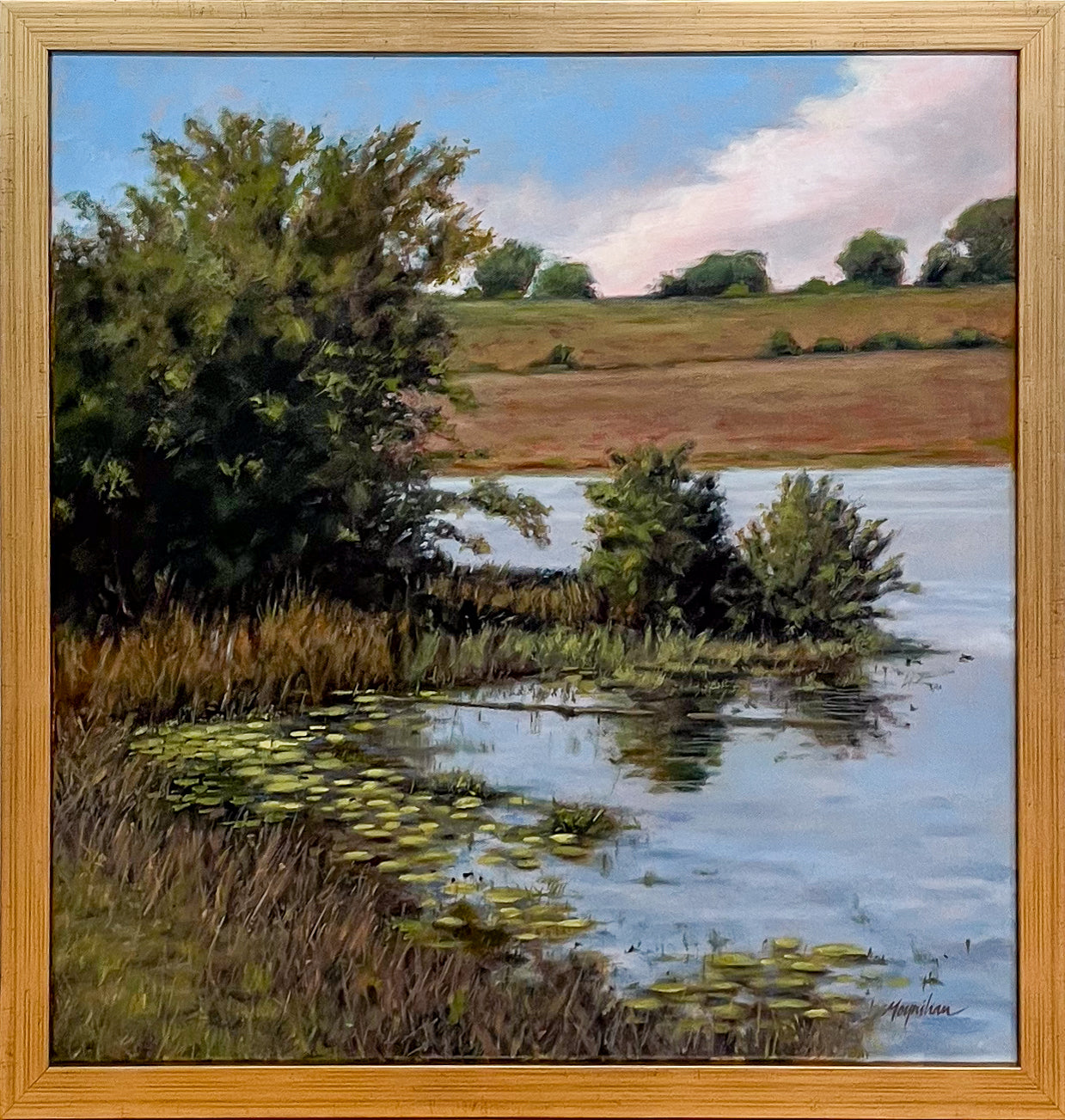Into a Clearing - Lakeland