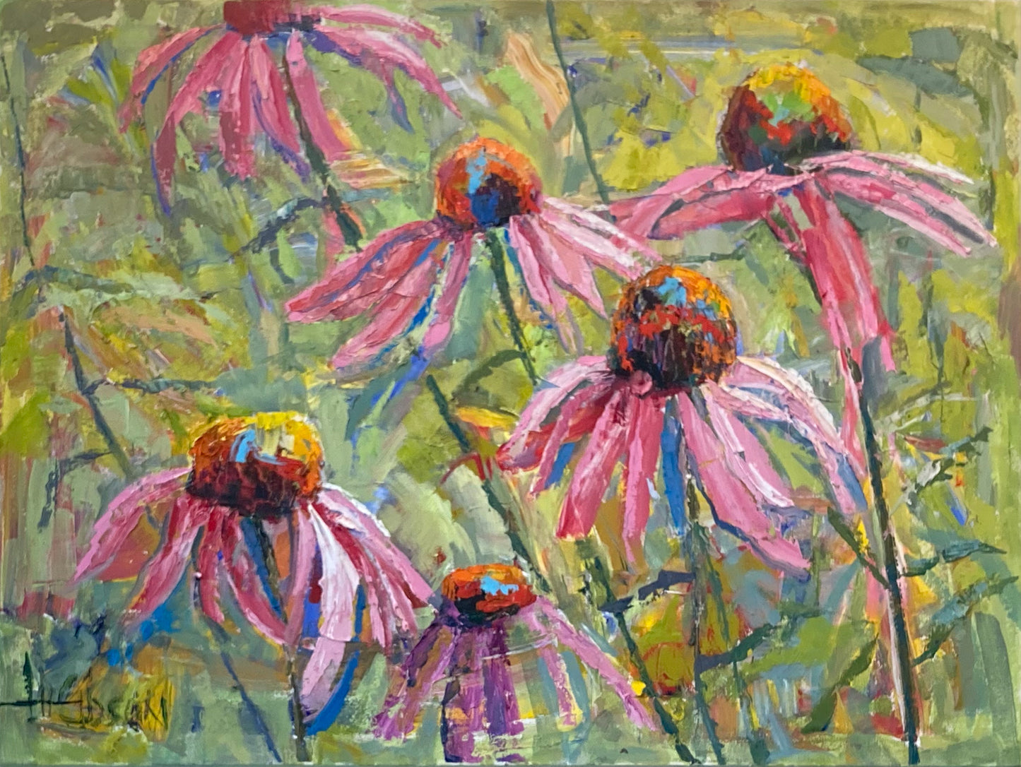 Pink Coneflowers