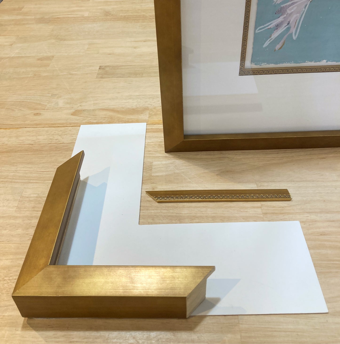 Swan Study No. III