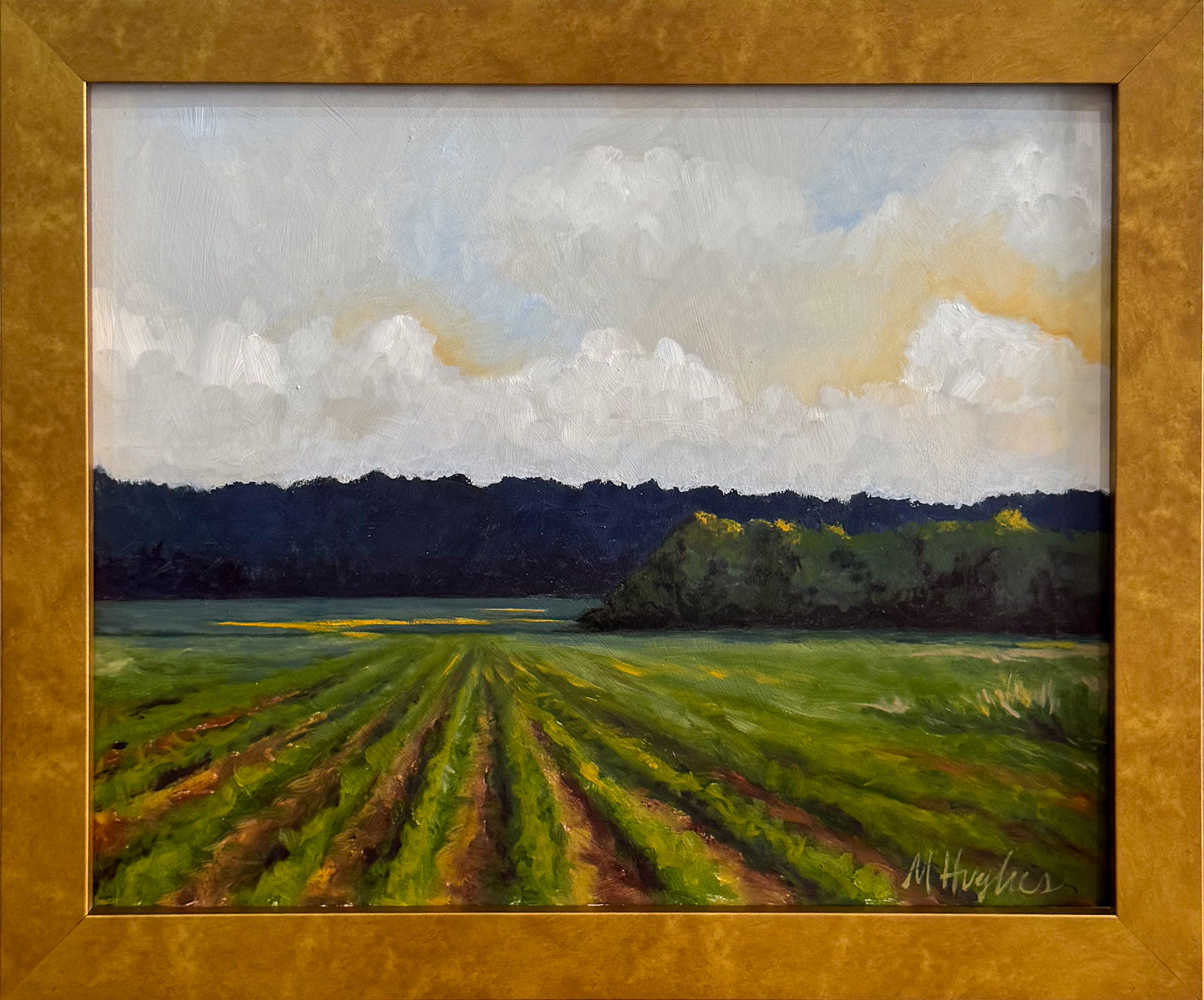 Roadside Mississippi - Itawamba County, Mississippi