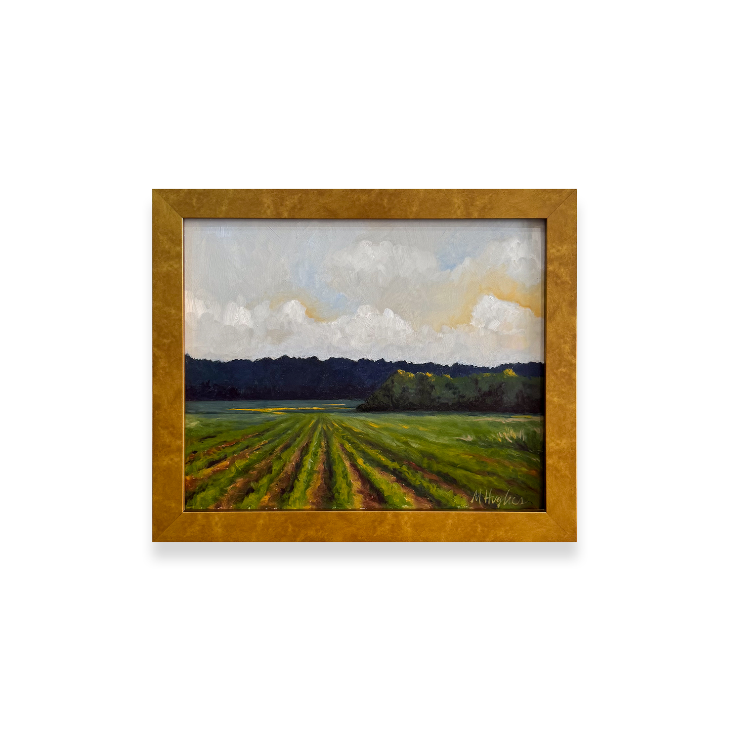 Roadside Mississippi - Itawamba County, Mississippi