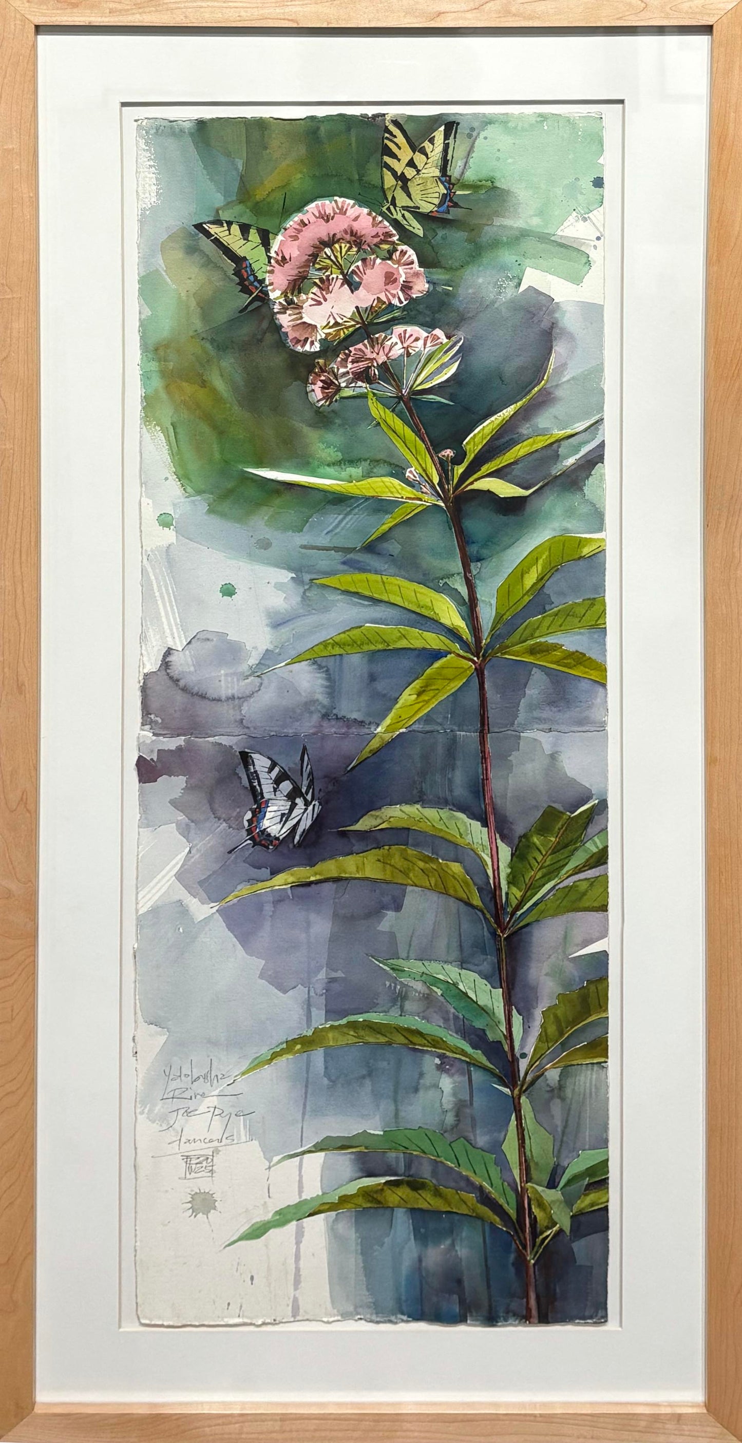 Joe Pye Weed & Swallowtails/Yalobusha River, July