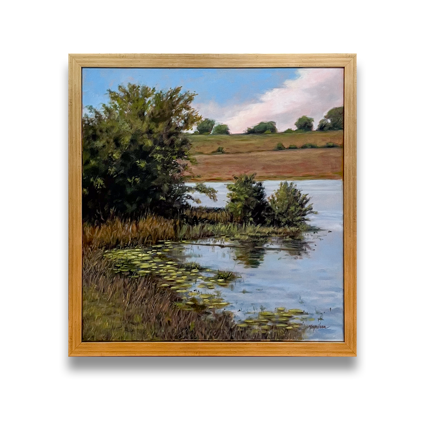Into a Clearing - Lakeland