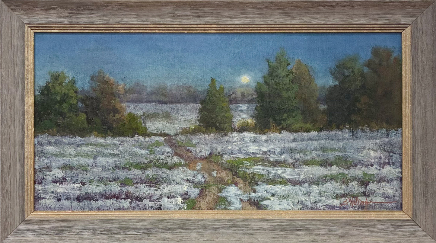 Mississippi: In A Certain Light - Moonlit Cotton