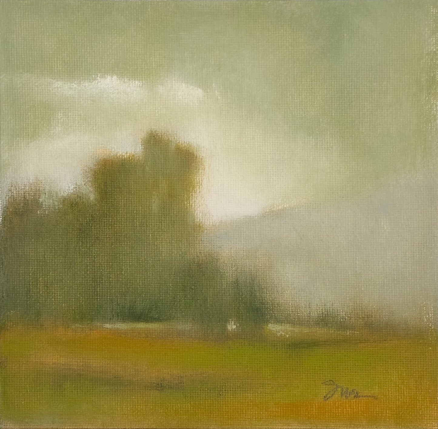 Morning Veil