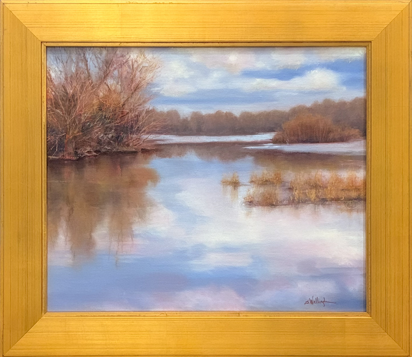 No Wind in These Willows