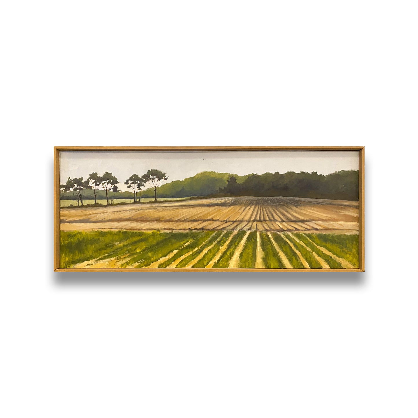 Oktibbeha County, Mississippi