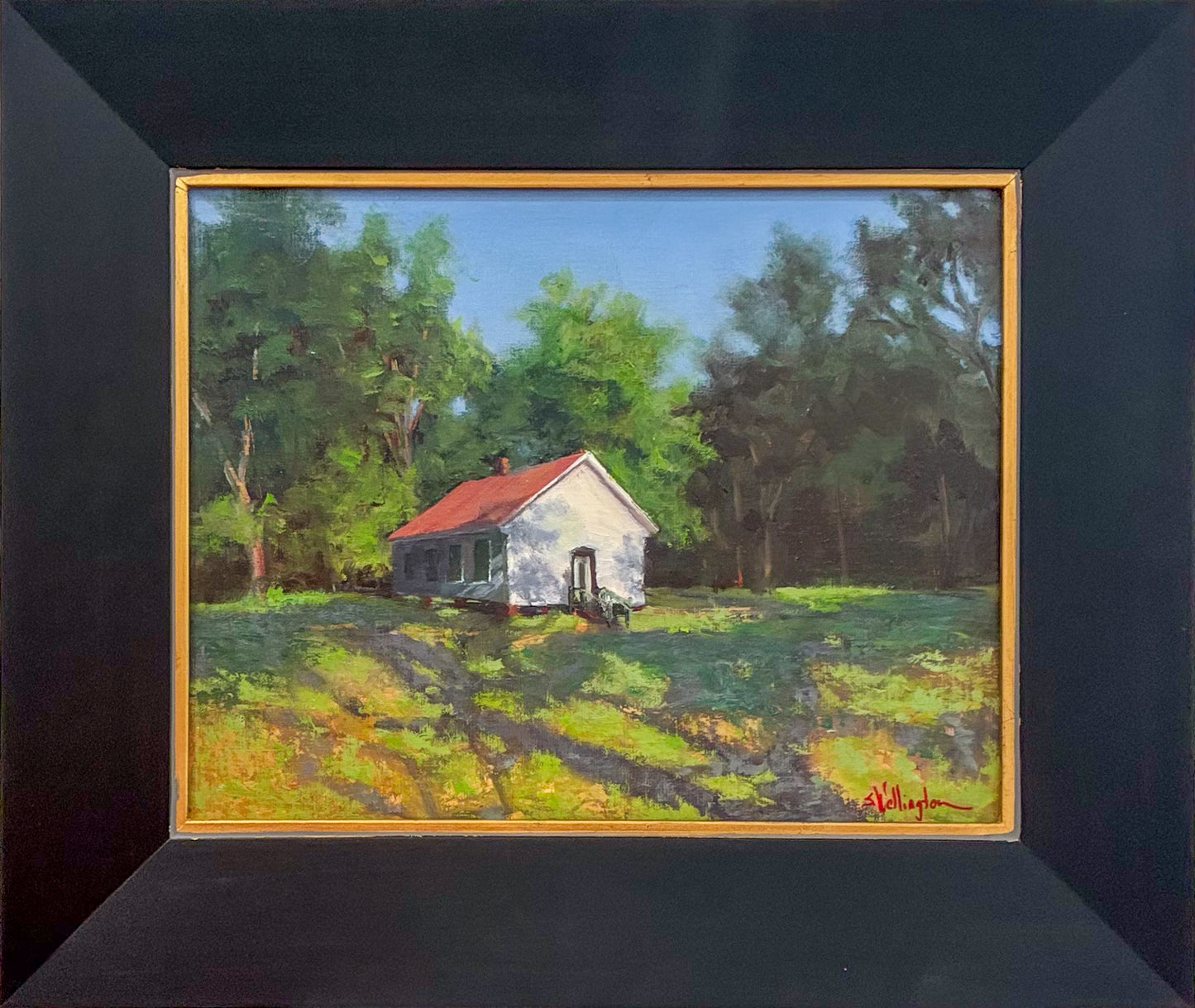 Mississippi: In A Certain Light - Out Of The Shadows
