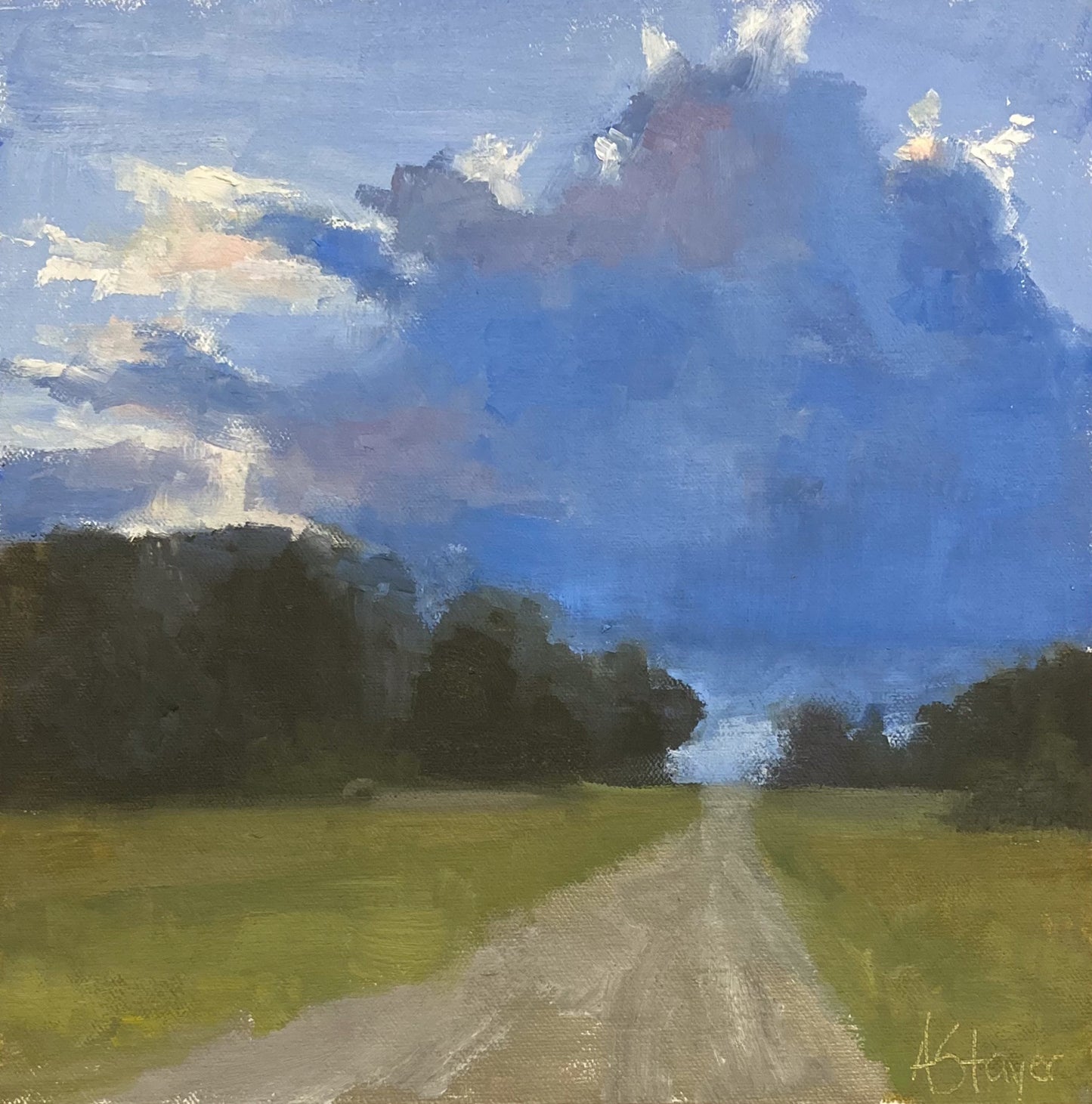 Peaceful Path I