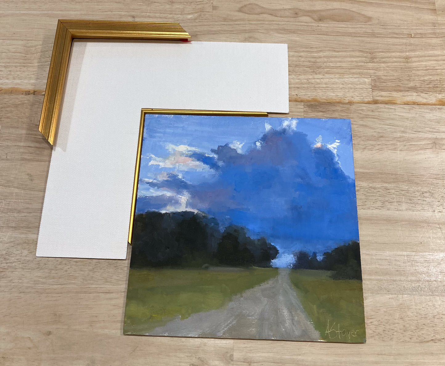 Peaceful Path I