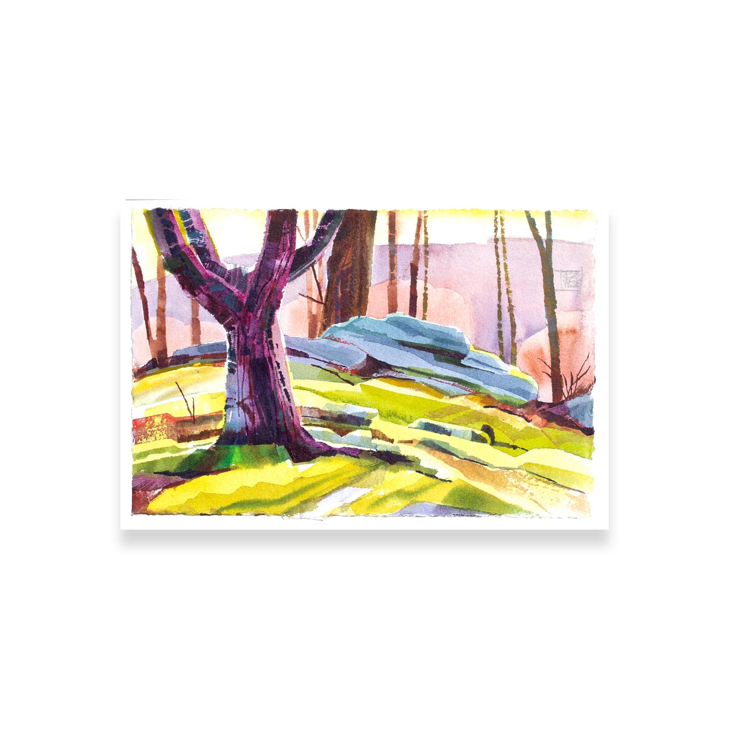 Peninsula Rock/ Cumberland Plateau/July