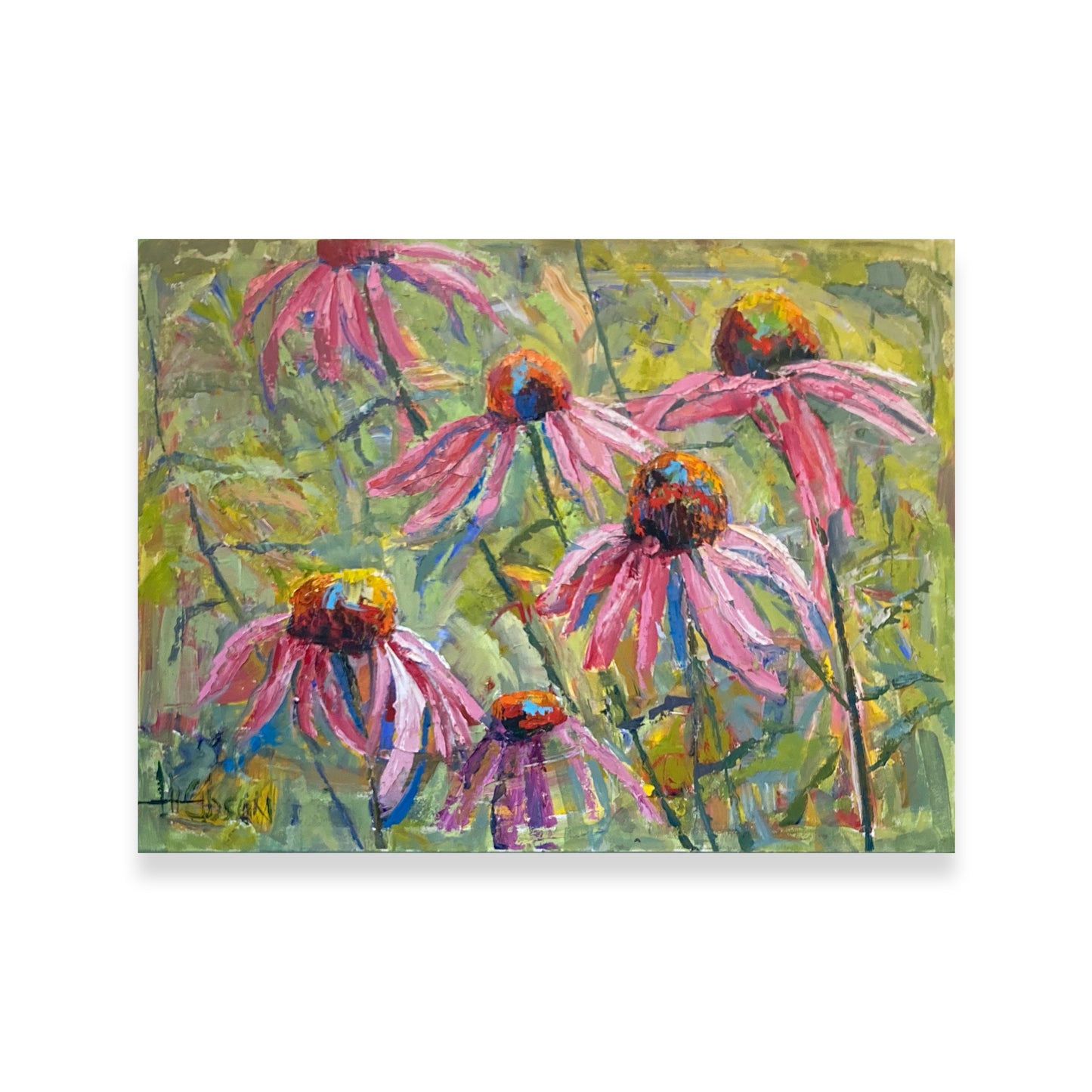 Pink Coneflowers