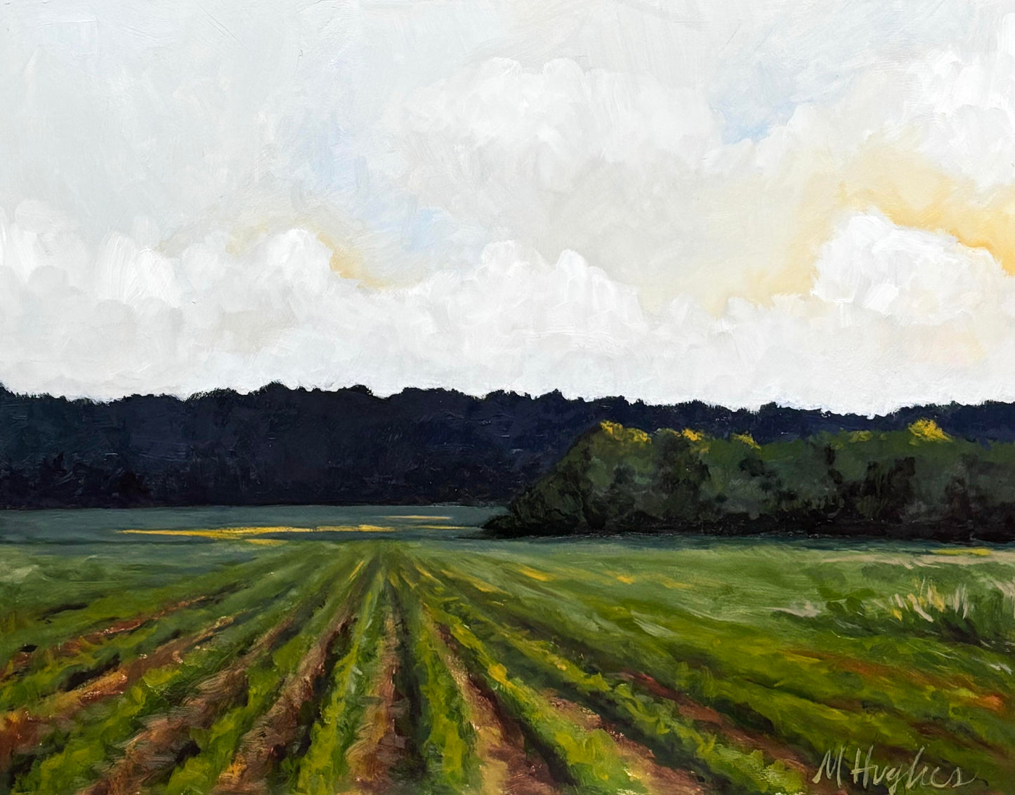 Roadside Mississippi - Itawamba County, Mississippi